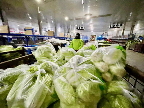 美菜商城不打烊,保障就地過年消費者 年夜飯