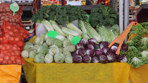 糧油 中國(guó)食品安全網(wǎng)