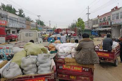 薇婭偷逃稅被罰13.41億,農(nóng)民網(wǎng)上賣菜要繳稅嗎?看看規(guī)定咋說(shuō)