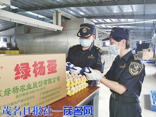 海關(guān)助力茂名鮮雞蛋首次出口，網(wǎng)上銷售初級(jí)農(nóng)產(chǎn)品邁新步