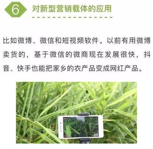 農業七大新型營銷模式，學會一個家禽銷售就能賺不少