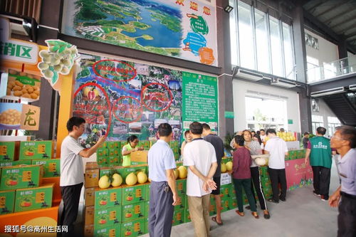 高州市鎮(zhèn)江鎮(zhèn)扶貧農產品日銷超14萬元 線上線下融合驅動家禽銷售新突破