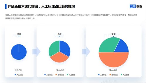 AI數(shù)據(jù)服務(wù) 去偽存真，打通智能駕駛?cè)珗?chǎng)景落地?cái)?shù)據(jù)閉環(huán)