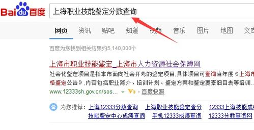 上海職業(yè)技能鑒定成績(jī)查詢與電碼電話防偽技術(shù)咨詢與服務(wù)指南