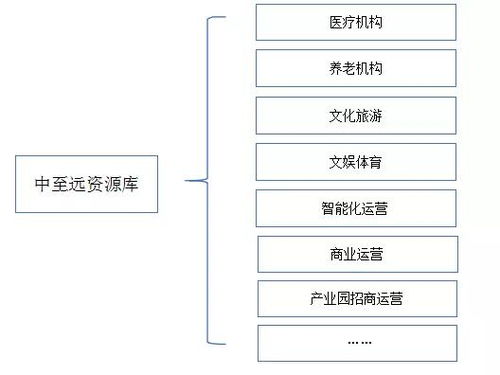 地方政府專項(xiàng)債發(fā)行全流程綜合咨詢服務(wù)方案——中至遠(yuǎn)咨詢，以專業(yè)技術(shù)與防偽保障護(hù)航地方發(fā)展